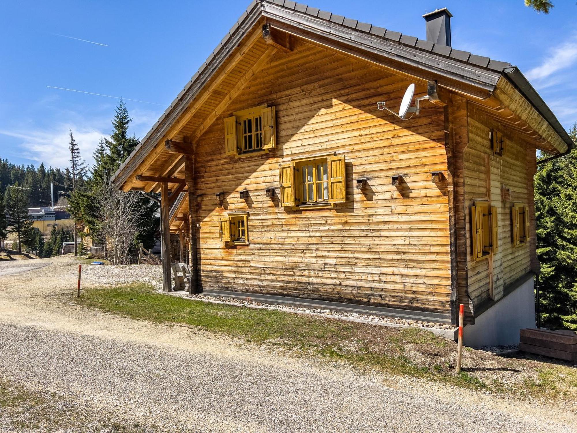 הוילה Elsenbrunn 1A Chalet Enzianhuette - Ski Fahren Und Indoor Sauna מראה חיצוני תמונה