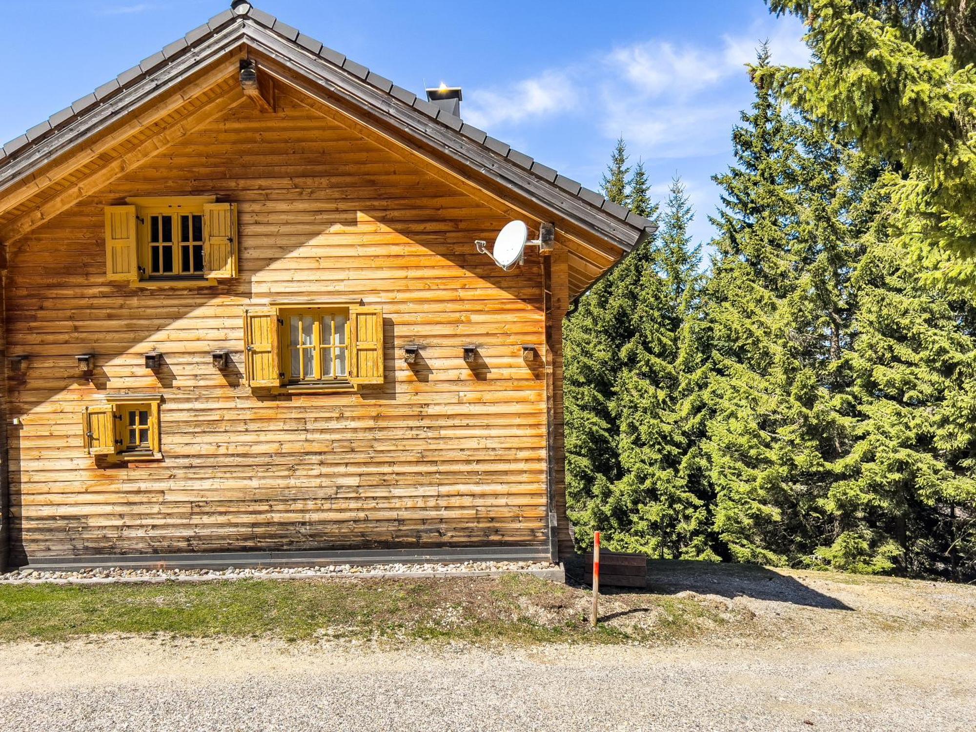 הוילה Elsenbrunn 1A Chalet Enzianhuette - Ski Fahren Und Indoor Sauna מראה חיצוני תמונה