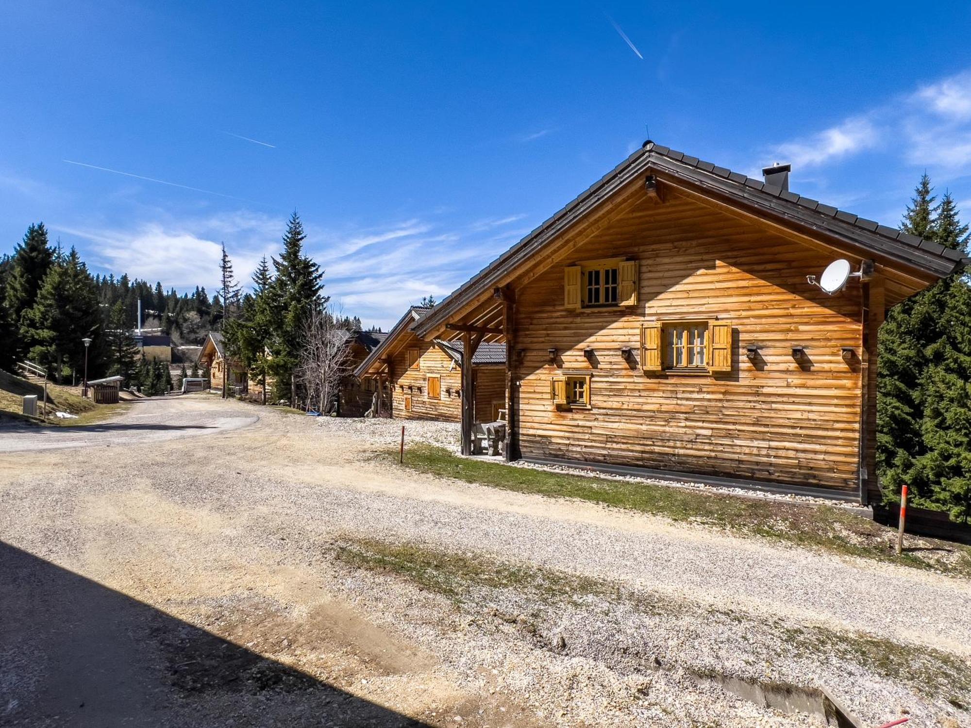 הוילה Elsenbrunn 1A Chalet Enzianhuette - Ski Fahren Und Indoor Sauna מראה חיצוני תמונה