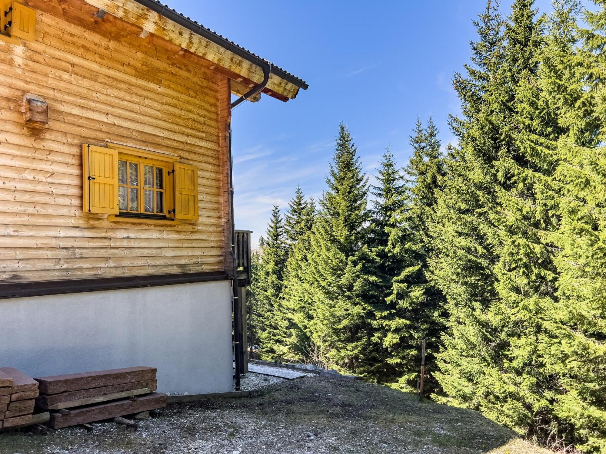 הוילה Elsenbrunn 1A Chalet Enzianhuette - Ski Fahren Und Indoor Sauna מראה חיצוני תמונה